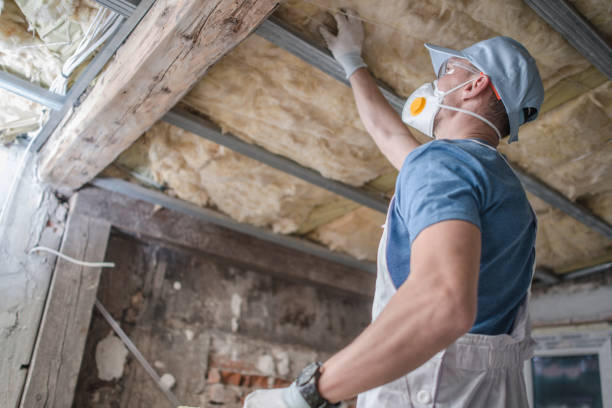 Best Residential Insulation in Casselton, ND